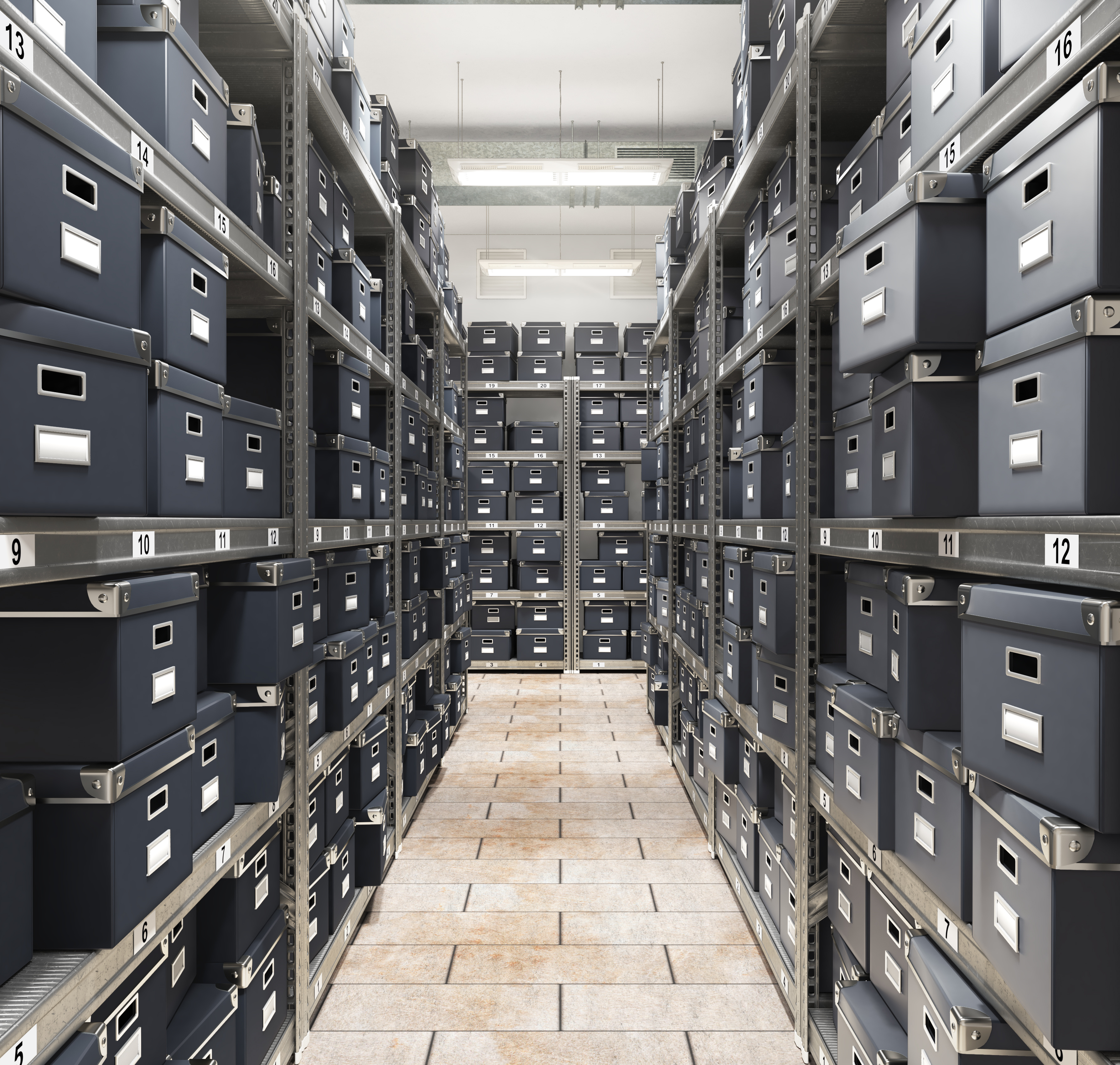 File storage shelves